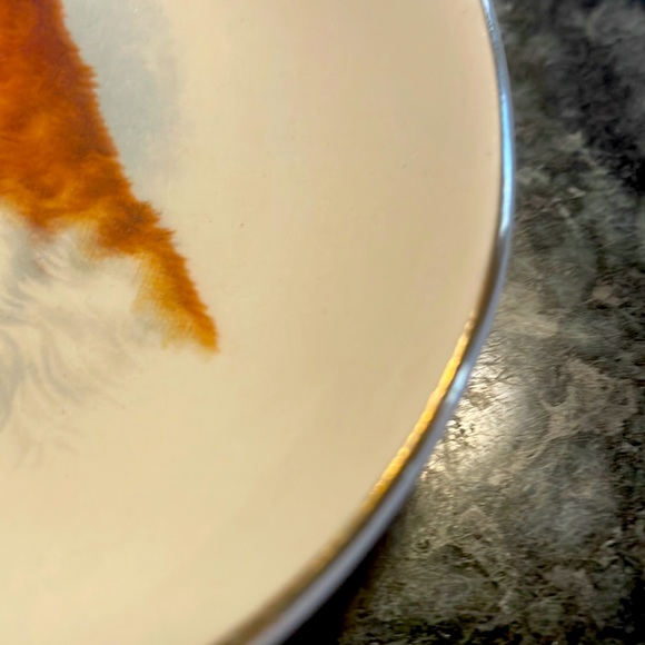 Vintage Jack Russell porcelain plate
Hanley Royal Falconware England - Picture 4 of 4
